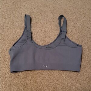 DSG Ribbed Seamless Sports Bra in Slate Blue